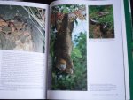 Sharp, Ilsa & Alain Compost - Green Indonesia, Tropical Forest Encounters Sharp, Ilsa & Alain Compost - Green Indonesia, Tropical Forest Encounters