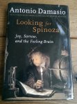 Damasio, Antonio R. - Looking for Spinoza / Joy, Sorrow, and the Feeling Brain