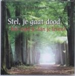 MUNSTER, Pauline van - Stel, je gaat dood. Hoe regel je dan je leven?