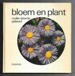 Muller-Idzerda, A.C. en Galjaard, B.J. - Bloem en plant 52 weken verzorging in huis en tuin