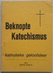 Fidelis Testis - Beknopte Katechismus Katholieke geloofsleer