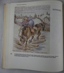 Evfrosiniia Kersnovskaia - Naskalnaia Zhivopis -russian edition- (10 foto's)