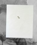 Nicholas Albrecht - One no one and one hundred thousand