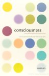 SMITH, Q., JOKIC, A. (EDS.) - Consciousness. New philosophical perspectives.