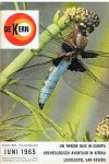 Redactie - De Kern - Elseviers Maandblad - juni 1965