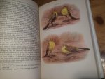 Smith, Stuart - The Yellow Wagtail, New Naturalist Monograph 4