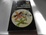 Compton - Kamerplanten in geuren en kleuren / druk 1