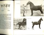 Lijsen H.J .. Met meer dan 100 tekeningen van Rob Krom en 21 foto's met een voorwoord door Dr.H.J. Weekenstroo - Paardenkennis .. Het skelet,het exterieur, het hoofd en de hals, de schoft, de rug, de staart,de voorborst.de ribben, flanken en de buik, de koker en de kling