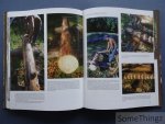 Campbell, David. - Le bois dans l'architecture traditionnelle.
