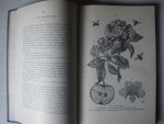 HORN, D. , GAST, S. de - Beginselen der plantkunde vooral ten dienste van Candidaat-Onderwijzers, H.B.S. met 3-j. C., Gymnasia en de onderste klassen van de H.B.S. met 5-j. C