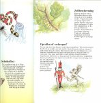 Hulsebosch, Ton - tekeningen Arnold Berbers Raadselplaatjes Jean deleu Alka - Ons nieuwe jeugdboek - lezen, puzzelen, knutselen - 1988-1989