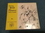 Hilder Edith - Drawing wild flowers