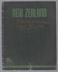 New Zealand. - Some better known New Zealand wild flowers and birds.
