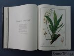 Helen L. Valmayor and Dick Baldovino (photogr.). - Orchidiana Philippiniana. Volume 1.