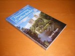 David Pepin - Discovering Cathedrals David Pepin - Discovering Cathedrals