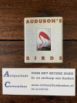  - Audubon's Birds