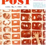 POST, Liza May & Waling BOERS [Ed.] - Liza May Post - Post Liza May 7, 1965 35c - Vacuum Packed Pub.  [Second edition].
