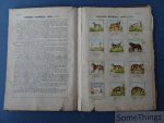 W. Hagelberg [Wolf] - Atlas Manuel Zoologique. Le Règne animal représenté d'après nature dans ses principaux types. (A) Mammifères, Mammmalia. [incomplet]