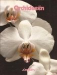 Skelsey, Alice - Orchideeen / druk HER