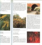 Vermeulen, Nico .. Omslagontwerp Ton Wiebelt .. Redaktie Martha Cazemier - Kuipplanten Encyclopedie