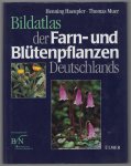 Henning Haeupler - Bildatlas der Farn- und Blutenpflanzen Deutschlands