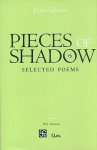 Jaime Sabines - Pieces of Shadow