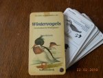 Kervels Kees - Doortrekkers wintergasten / druk 1 Waaier Kervels Kees - Doortrekkers wintergasten / druk 1 Waaier
