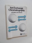 RED. - Ion exchange chromatography. Principles and methods.