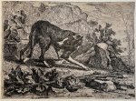 Joannes Fijt (1611-1661) - Antique print, etching | A standing dog in profile, plate seven of the set of the dogs, published 1642, 1 p.