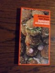 Dam, J. van - Delicious Amsterdam. With a guide to Dutch food