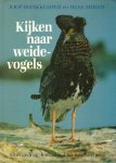 Brinkkemper, J. /Moedt, O. - Kijken naar weidevogels Brinkkemper, J. /Moedt, O. - Kijken naar weidevogels