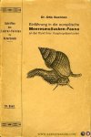 BUCHNER, Otto - Einführung in die europäische Meeresmollusken-Fauna an der hand ihrer Hauptrepräsentanten BUCHNER, Otto - Einführung in die europäische Meeresmollusken-Fauna an der hand ihrer Hauptrepräsentanten