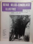 Union Royale Belge pour le Congo et les pays d'Outremer - Revue Belgo-Congolaise Illustrée, No 8, août 1963. En couverture: Le baobab géant sous lequel Stanley tranchait les palabres à Boma