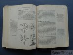 Michael S. Schneider. - A Beginner's Guide to Constructing the Universe: The Mathematical Archetypes of Nature, Art, and Science. Michael S. Schneider. - A Beginner's Guide to Constructing the Universe: The Mathematical Archetypes of Nature, Art, and Science.