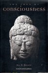 BENNETT, Max R. - The Idea of Consciousness - Synapses and he Mind. BENNETT, Max R. - The Idea of Consciousness - Synapses and he Mind.