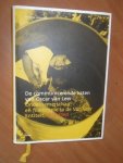 Johannes, Gert-Jan - De communicerende vaten van Oscar van Leer. Ondernemerschap en filantropie in de Van Leer Entiteit, 1958-1986