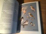 Dijksen, Adriaan & Frits-Jan Maas - Gids voor de vogels van Texel Dijksen, Adriaan & Frits-Jan Maas - Gids voor de vogels van Texel