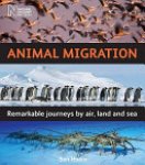 Ben Hoare 138258 - Animal Migration