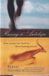 Heinrich, Bernd - Racing the Antelope: What Animals Can Teach Us About Running and Life Heinrich, Bernd - Racing the Antelope: What Animals Can Teach Us About Running and Life