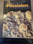 Pinna - Fossielen