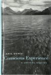 Anil Gupta - Conscious Experience A Logical Inquiry