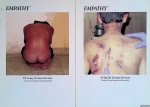 Gerven Oei, Vincent W.J. van & Jonas Staal - Empathy: Al-Qa'ida Torture Devices & US Army Torture Devices (2 volumes)