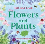 tracy cottington - Kew: Lift and Look Flowers and Plants