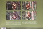 Gerd Schuster, Willie Smits, Jay Ullal - De denkers van de jungle. Het orangutan rapport