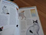 Susie Page S. -  Stephe Bruin - De complete gids voor Katten liefhebbers met Meer dan 100 rassen en kleurslagen