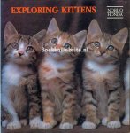 Honda, Nobua - Exploring Kittens