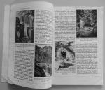  - Le Romantisme - Encyclopédie par l'image, Librairie Hachette