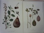 onbekend - Ziekten en Plagen van Land- en Tuinbouwgewassen
