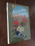 Schroter, L. (ills.) and Schroter, C. - Flore Coloriee portative du touriste dans les Alpes 207 fleurs coloriees des Alpes et 10 en noir