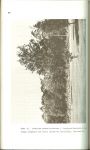 Wijnhoven A.L.J.  Wageningen......Molinie - Holco - stachyo  Quercetum - Flora en Vegetatie van Drienerlo. Met 10 foto's, Drienerlo in de veertiger jaren, Koningsvaren, Bosandoorn, Mammoetboom in  'de horstlanden en 6 tabellen Bodemtype,grondwatertrap stand,Bedekkingsgraad, boomlaag, struiklaag, kruidlaag, moslaag, Strooi